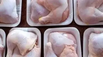 أسعار الدواجن بأسواق مطروح اليوم السبت 11-4-2026.. كيلو الوراك بـ115 جنيها